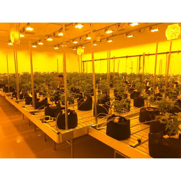 Customized Size Light Deprivation Blackout Greenhouse Include Irrigation System
