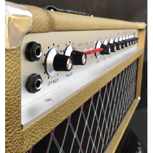 Grand Amplifier D-Style Pedals SSS100 Steel String Singer with FET GAIN, VOLUME, TREBLE, MIDDLE, BASS, HIGH, LOW, SEND,