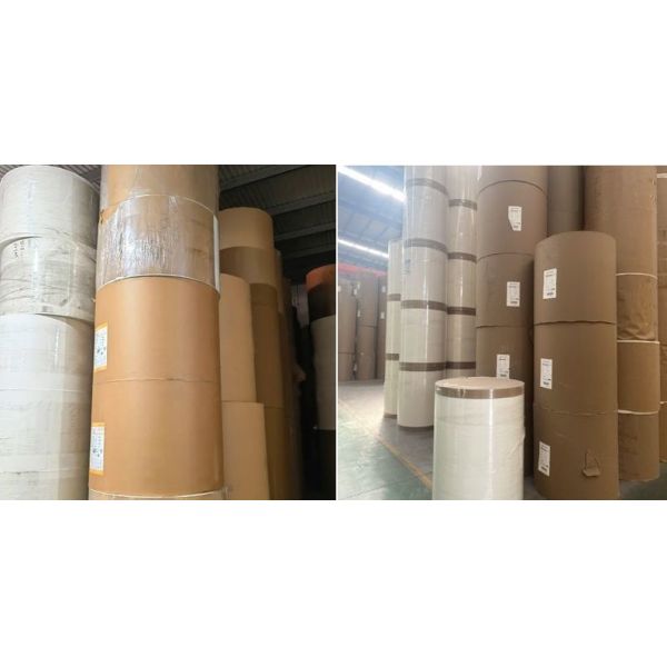 Customized designed for food packaging PE/PLA coated paper roll Free Sample OEM FDA Quality