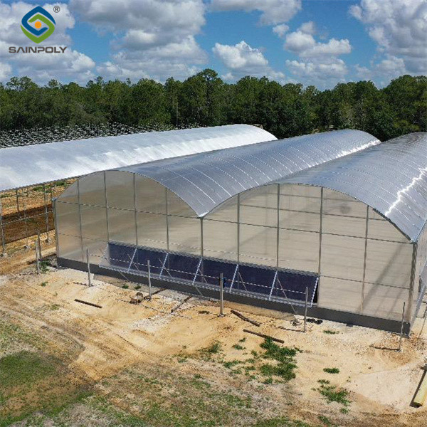 Easy Install Agriculture Green House With Smart Control Systems