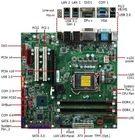 China Intel H310C Chipset Micro ATX Motherboard 64GB Max Memory LGA 1151 Socket on sale