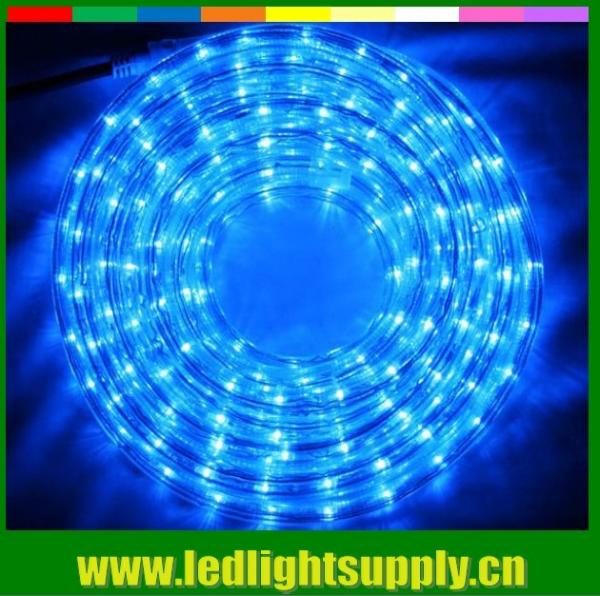 Quality Led flexible led strip 1/2'' 2 wire rope duralights with low volt 24/12v for sale
