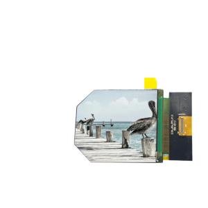 Wholesale 2.54 Inch VR LCD Display 1440X1600 50 Pins MIPI Interface 350c/D Driving IC NT57860 from china suppliers