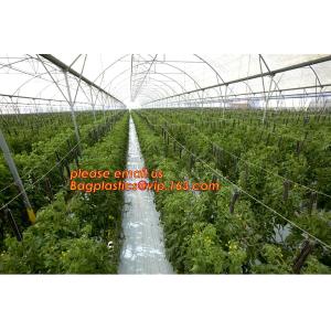 cheap and durable plastic colored anti mosquito netting/window insect screen