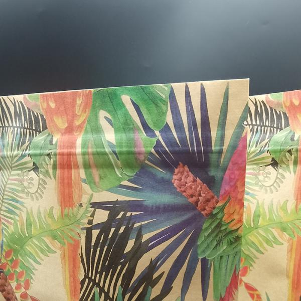 Customization Compostable Coffee Pouches CTP Printing Biodegradable Zip Lock Pouches