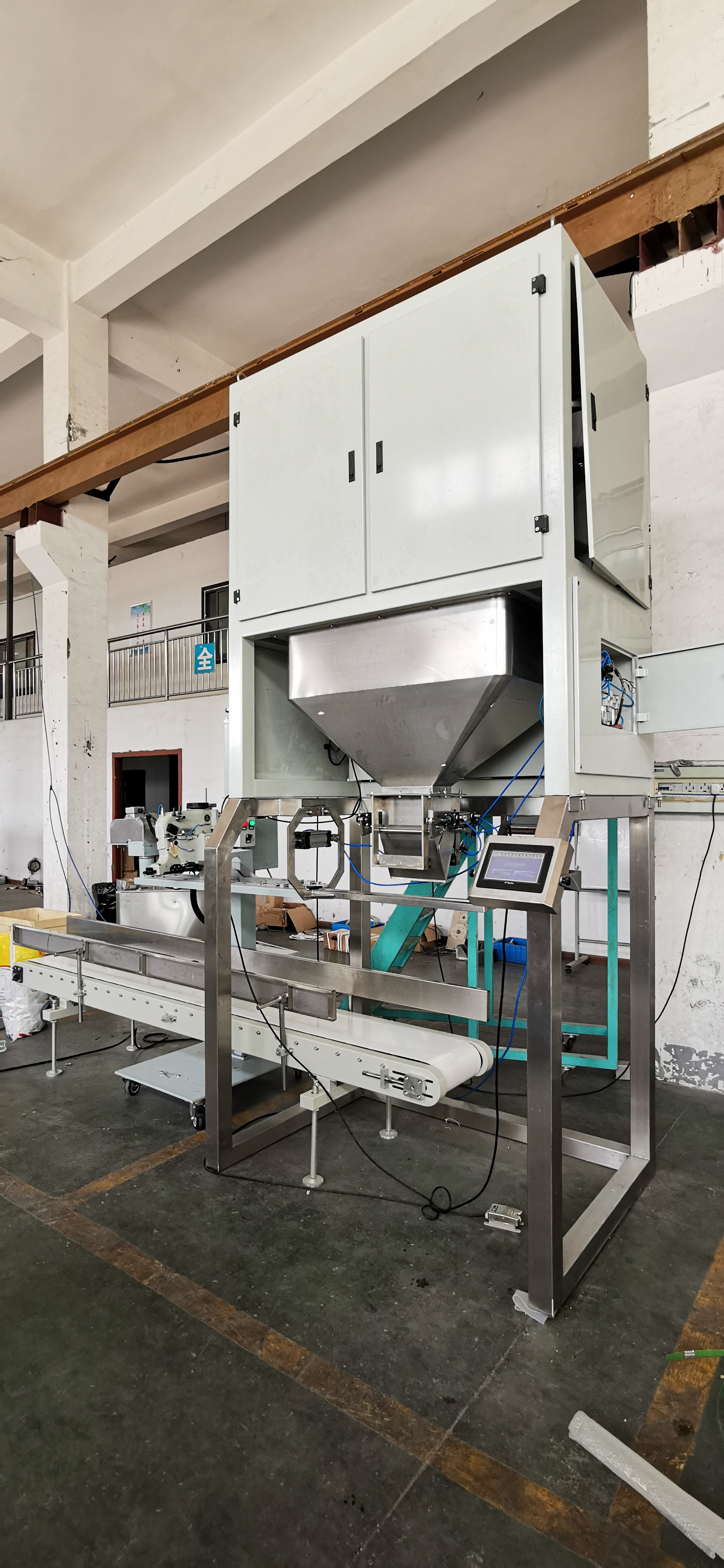 100KG Double Head Linear Weighing Machine Weigh Filler Packaging Bagging ODM