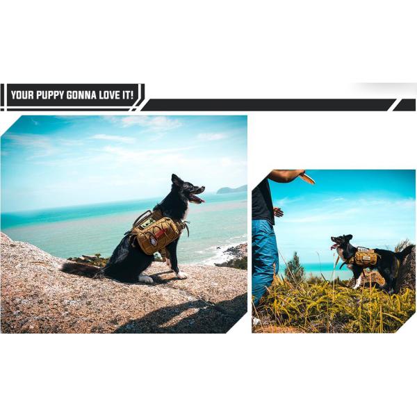 Well-Made Air-Mesh Padded Best Dog Carrier Backpack with Hook-and-Loop Closured Pockets