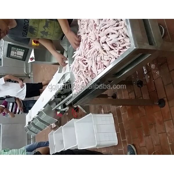 Robust Box Packaging Conveyor Checkweigher Automatic Rejector Integrated System JZ-W3kg