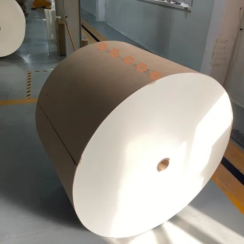 Double Single Side PE Coated Paper Cup Raw Materials Waterproof Customized Beverage Food Grade Paper Cup Roll