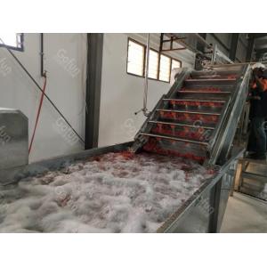 Multifunctional Tomato Processing Line With Turnkey Processing Adjustable