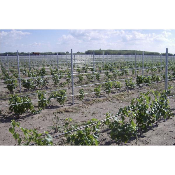 1.2mm-2.0mm Thickness Roll Forming Machine For Vineyard Post Trellis Grape Stakes