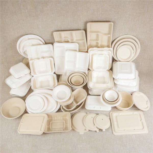 Biodegradable Sugarcane Pulp Tray 3 Compartment Disposable Tableware for Snacks Candies Hamburgers Cookies Pet Food Milk