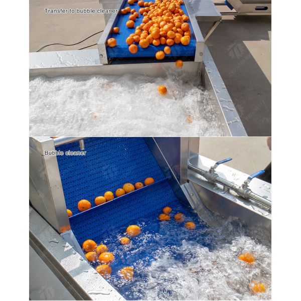 Fruit and vegetable selection washing and drying production line Fruit Vegetable FOOD processing production Machine