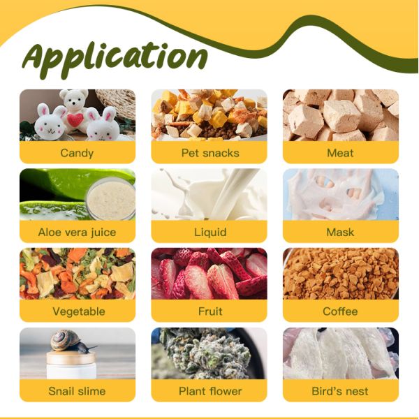 2.5M2 Food Fruit Vegetable Candy Lyophilizer Machine Vacuum Freeze Dryer Dry Machine
