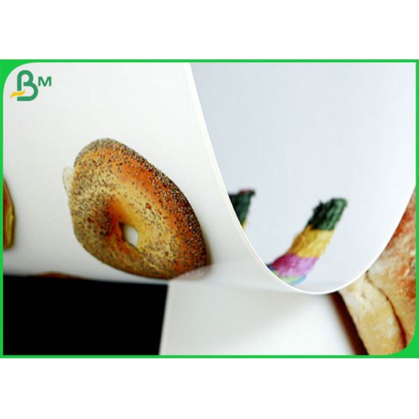 24 Inch 230grm Waterproof Inkjet Photo Paper With Good Printing