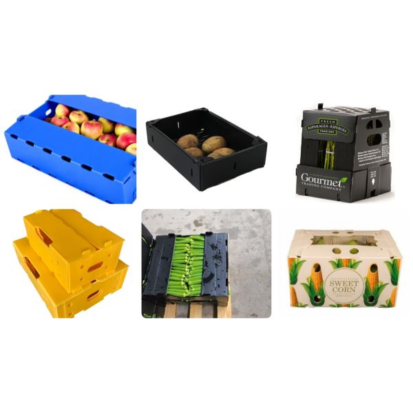 Custom Coroplast Packing Box for Fruits & Vegetables | Lightweight, Waterproof, Durable, Recyclable, Foldable, Stackable Plastic Crate | Custom Size