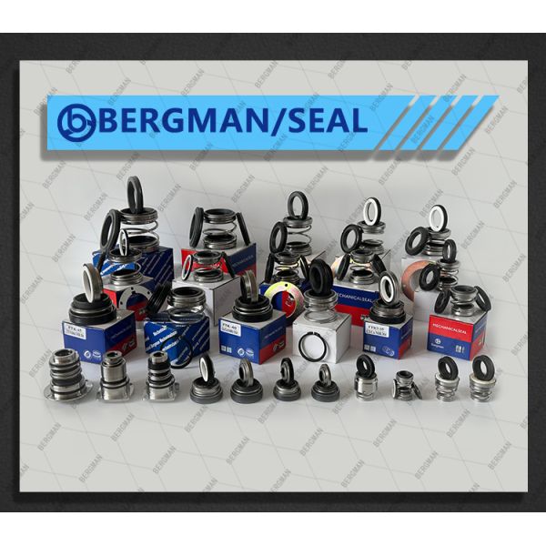 BERGMAN 560D-45mm Rotary Pump Mechanical Seal for WQ Submersible Pumps