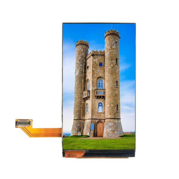 3.15 Inch AMOLED Display Module, 360X460 Resolution, Mipi Interface 100 Cd/M2