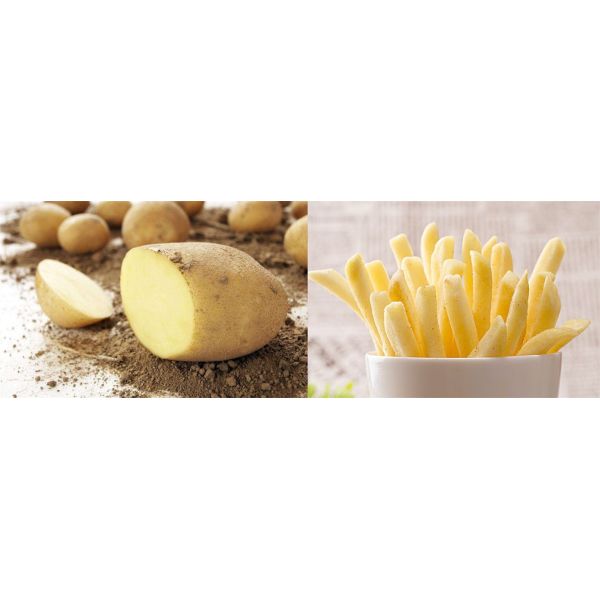 30kw High Yield Vacuum Frying Machine , Vacuum Fried Chips Machine Dia1200*600