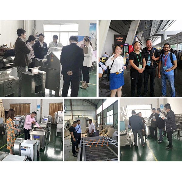 Ginger Vegetable Machine Henan