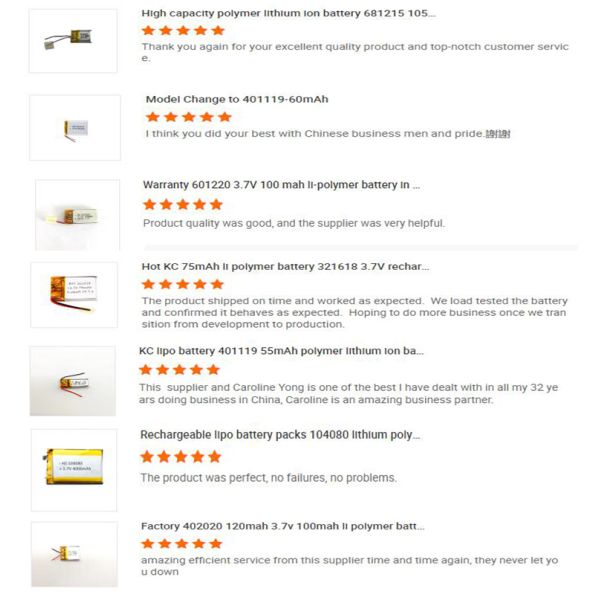 603779 2700mAh High Capacity Lithium Polymer Battery With Customization Samples And PCB Protection