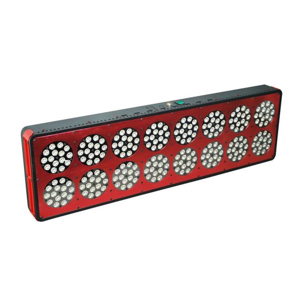 cidly 16 led grow light 600w for sales,led plant grow light with full spectrum