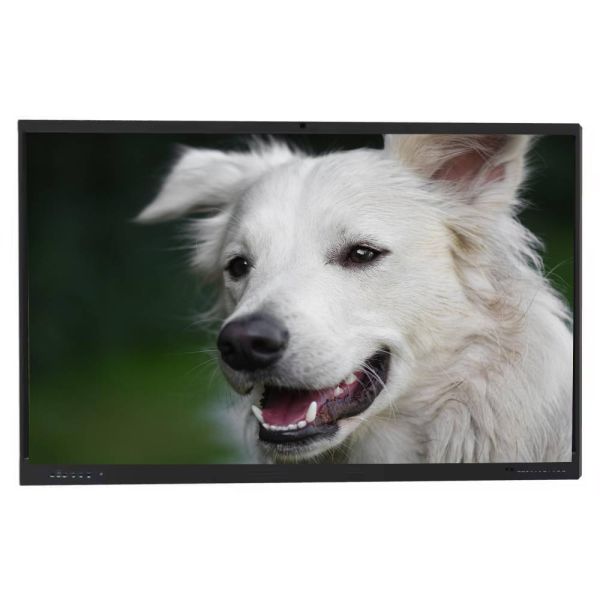 Conference Interactive Flat Panel Display 65 Inch Screen Size 500GB Hard Drive Capacity for Interactive Presentations