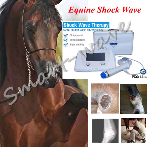 Veterinary Medical Equine Shockwave Machine For Patellar Tendinopathy