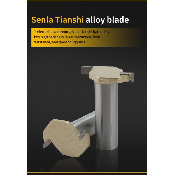 1610 ARDEN Router Bit Double Flute ARC Bending Tool T Shaped