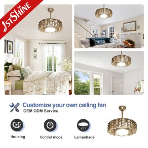 1stshine 100% Copper Motor LED Ceiling Fan for Standard Wind in Bedroom and