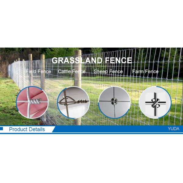 High Tensile Galvanized Field Fence for Cattle and Sheep