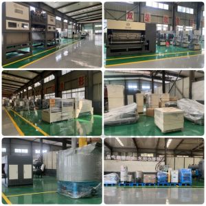Hunan Shuanghuan Fiber Molding Machinery Co., Ltd