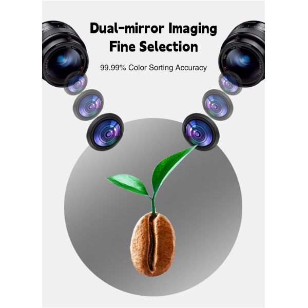 Optical Color Sorter Peanut Color Sorter Machine Roasted Coffee Beans Color Sorting Machine