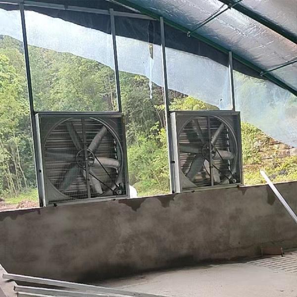 Factory Supply 275g Hot Galvanized Sheet for Poultry Farm Electric Ventilation Fans for Chicken Coop Cooling Poultry Farm