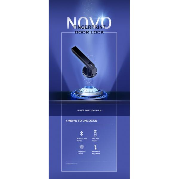 Smart Digital Fingerprint Door Lock, Black Zinc Alloy Door Handle Lock