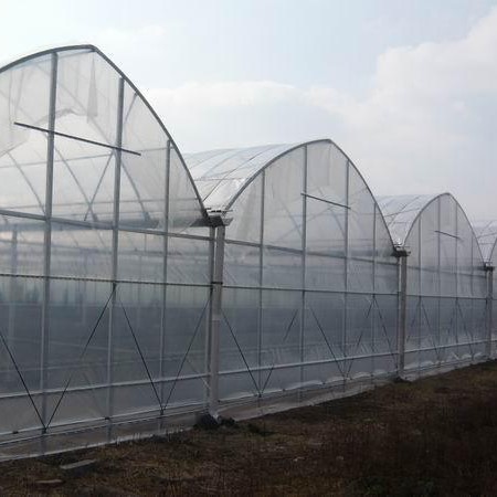 Agriculture Poly Tech Greenhouse Cultivation Or Breeding Easy To Construct