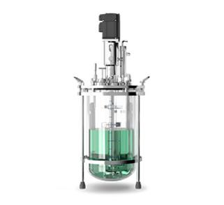 Laboratory Duplex Fermenter Bioreactor Dual Tank Parallel Fermenter FMT-T Series