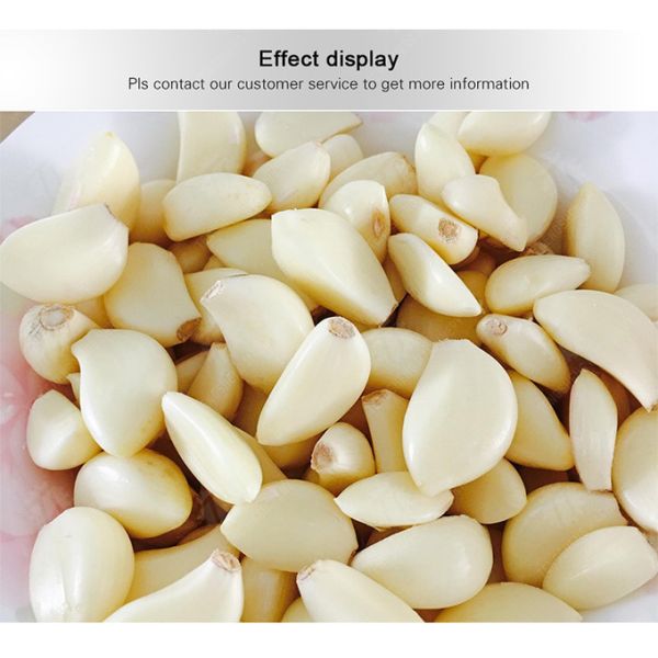 2.2KW Garlic Processing Machine Skin Removing Garlic Peeler