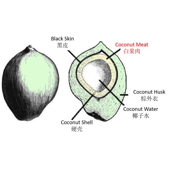 Coconut Processing Machine|Turn Key Customize 1-20T/h Coconut Water Production Line