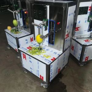 mango juice processing machine