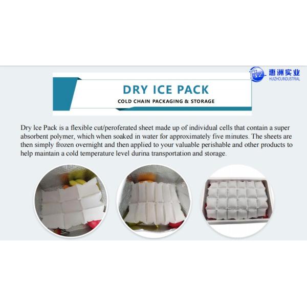 16 Cubes Non-Toxic Reusable Ice Pack For Food PE Material 1000g After Absorbed Water