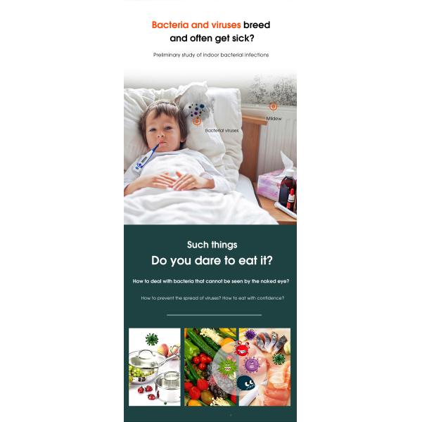 Portable Breathing Ozone Generator Room Purifier 40g