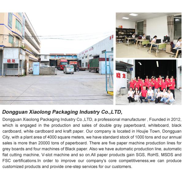 80-400gsm C2S Glossy Art Paper for Magazine Printing with Two-Side Coating