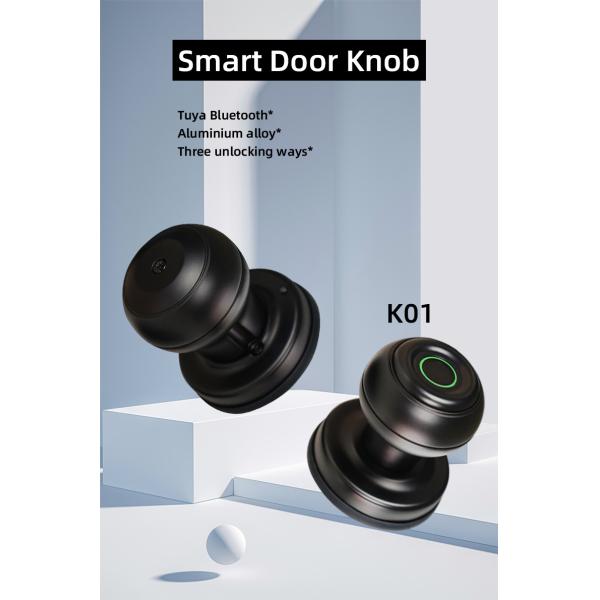 Biometric Fingerprint Door Knob Smart Lock Black Bluetooth House Lock