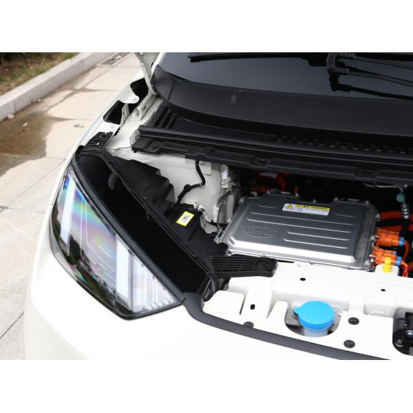 Automatic Transmission 3-4 Hours Charging Time Seagull BYD EV Car Battery Powered
