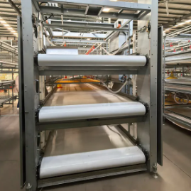 Hot-dip Zinc Broiler Chicken Cage with Modular Design and Automatic Feeding System for Poultry Farming
