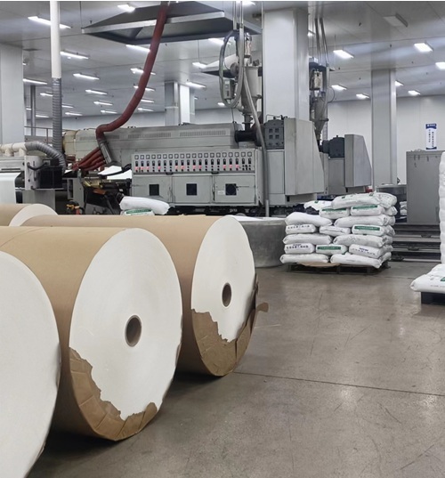High Bulk Normal Bulk PLA Coated Paper Roll with PE Coating Custom Designed