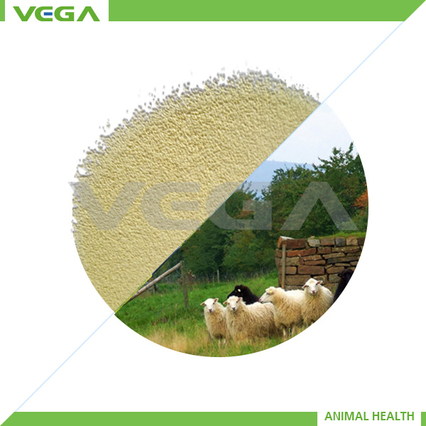 New Product Active Three for Poultry