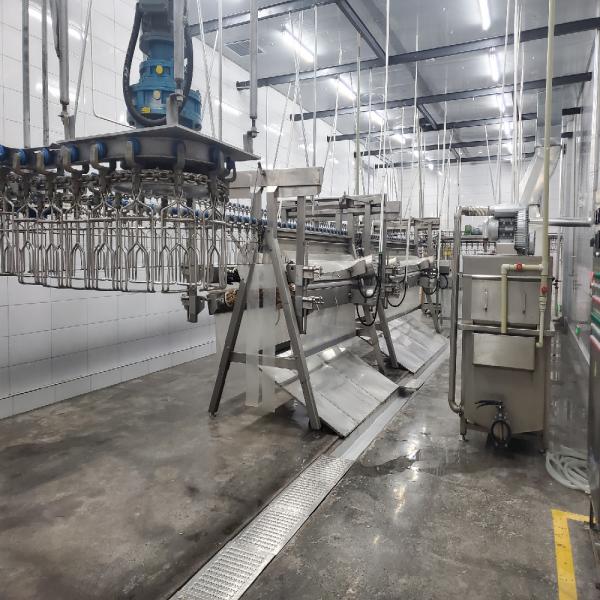 Streamlined Semi Auto Slaughter Machine Small Scale Poultry Processing Equipment