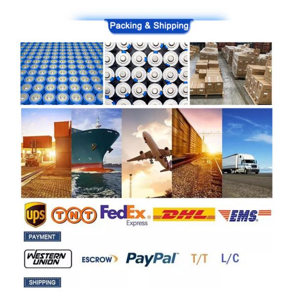 ODM OEM Customized Plug Type LiFePO4 Lithium Battery 24V 48V 18Ah 100Ah 140Ah